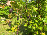 Дом в деревне Барышово, 4390000 руб.