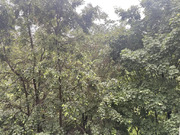 Москва, 2-х комнатная квартира, ул. Холмогорская д.6к2, 9800000 руб.