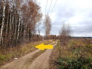 Лесной уч-к 1 Га в первозданной природе. 60 км от МКАД, Наро-Фоминск, 2200000 руб.