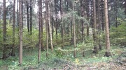 Продаю лесной земельный участок в прекрасном районе Подмосковья, 5200000 руб.