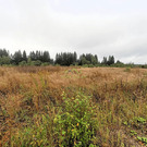 ДНП Бережки-2, участок 6 соток, Можайский район, 220000 руб.