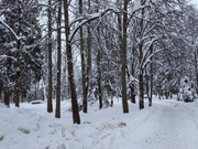 Новый Городок, 3-х комнатная квартира,  д.17, 6500000 руб.