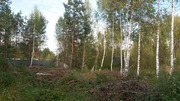 Участок солнечный с видом на лес и поле., 280000 руб.