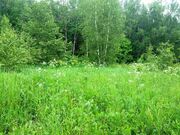 Участок в обжитой деревне Буньково крайний к лесу, 2500000 руб.