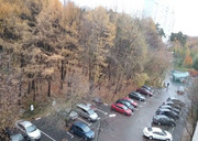 Сдам комнату 61.0/16-12м Старонародная ул., 2, Москва, ЮЗАО, р-н Южное, 24999 руб.