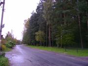 Дачный участок в сосновом лесу, 450000 руб.