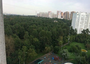 Сдам комнату 61.0/16-12м Старонародная ул., 2, Москва, ЮЗАО, р-н Южное, 24999 руб.