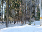 15 соток в д. Михайловка с лесными деревьями, 3500000 руб.