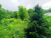 5,4 сотки в д. Чашниково, 3250000 руб.