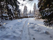 Продажа дома, Апрелевка, Наро-Фоминский район, 3-й Центральный проезд, 32500000 руб.