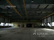 Сдается теплое помещение под склад площадью 1100 кв, 5500 руб.