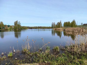 12 соток ЛПХ в д. Тараканово, 1200000 руб.