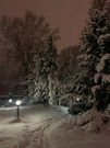 сдам дом, 5000 руб.