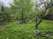 Продам участок с домом в Малаховке (Пехорка), 11000000 руб.