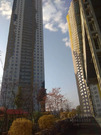 Красногорск, 1-но комнатная квартира, Авангардная д.10, 10990000 руб.