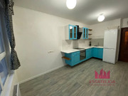 Лопатино, 1-но комнатная квартира, Сухановская улица д.18, 8100000 руб.