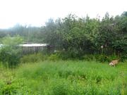 Уютная дача рядом с озером в лесу, 50 км от мкада. Носовихинское шоссе, 600000 руб.
