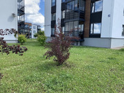 Красный Поселок, 1-но комнатная квартира, конюхова д.20, 48000 руб.