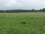 Кубинка, 2-х комнатная квартира, поселок санатория им. Герцена д.13, 3300000 руб.