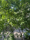 Королев, 3-х комнатная квартира, ул. Пионерская д.д.37, 9000000 руб.