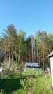 Дача с выходом в сосновый лес. 50 км от Москвы, 600000 руб.