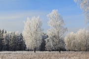 Участок 10 соток города Балашиха район Лукино, 2900000 руб.