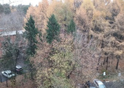 Аренда комнаты 77.0/13м Старонародная ул., 2, Москва, ЮЗАО, р-н Южное ..., 22999 руб.