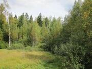 Лесной участок 10 сот, газ, охрана, Киевское ш, 49 км. от МКАД., 1700000 руб.