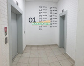 Домодедово, 1-но комнатная квартира, Высотная д.11, 28000 руб.