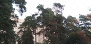 Раменское, 1-но комнатная квартира, ул. Десантная д.17, 3600000 руб.