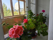 Кубинка, 3-х комнатная квартира, Кубинка-1 д.к20, 9300000 руб.