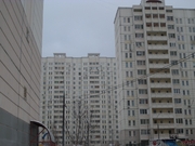 Москва, 2-х комнатная квартира, ул. Краснобогатырская д.11, 10300000 руб.