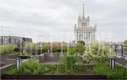 Москва, 3-х комнатная квартира, Большая Садовая д.5к1, 65000000 руб.