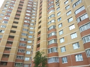 Голицыно, 1-но комнатная квартира, Ремезова д.8, 24000 руб.