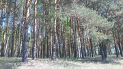 Участок солнечный с видом на лес и поле., 490000 руб.