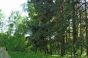 Коттедж в окп, Пироговское вдхр, лес. Прописка, Беляниново, 39600000 руб.
