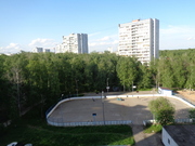 Троицк, 3-х комнатная квартира, ул. Солнечная д.8, 5850000 руб.