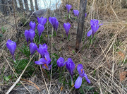 Дом в деревне Цаплино, 4490000 руб.