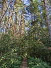Кубинка, 3-х комнатная квартира, Кубинка-1 д.к20, 9300000 руб.