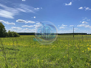 Продажа земельного участка, Шишкино, Домодедово г. о., Шишкино д., 80000000 руб.