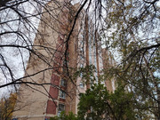 Продажа торгового помещения, Открытое ш., 24068000 руб.