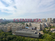 Москва, 2-х комнатная квартира, ул. Озерная д.1к2/5, 28000000 руб.