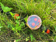 Дом в деревне Барышово, 4390000 руб.