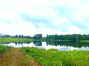Дача в СНТ Мир, 1099000 руб.