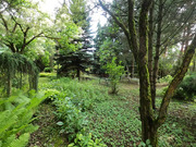 Продажа дома, Северово, Подольский район, ул. Ноябрьская, 98350000 руб.