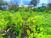 Дача в СНТ Михтим, 2499000 руб.