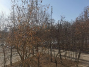 Снять комнату 66.0/17.5м ул. Луиджи Лонго, 6/11, Москва, САО, р-н ..., 35999 руб.