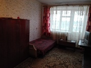 Клин, 1-но комнатная квартира, ул. Мира д.48, 12000 руб.