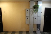 Домодедово, 2-х комнатная квартира, Текстильщиков д.31, 6000000 руб.