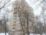 Москва, 2-х комнатная квартира, ул. Федора Полетаева д.28, 11847000 руб.